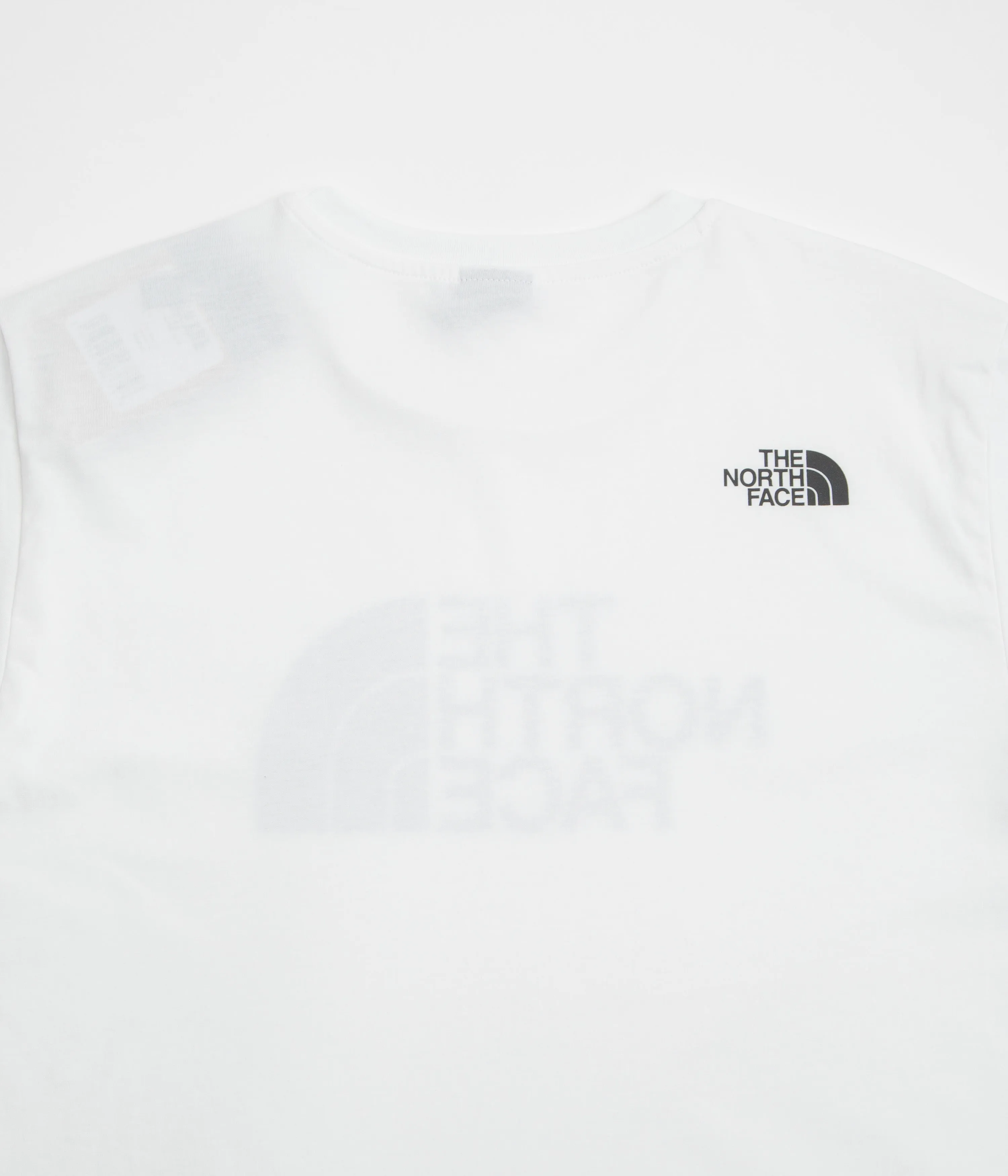 aquarium venue graphic hem The North Face Easy T-Shirt - TNF White