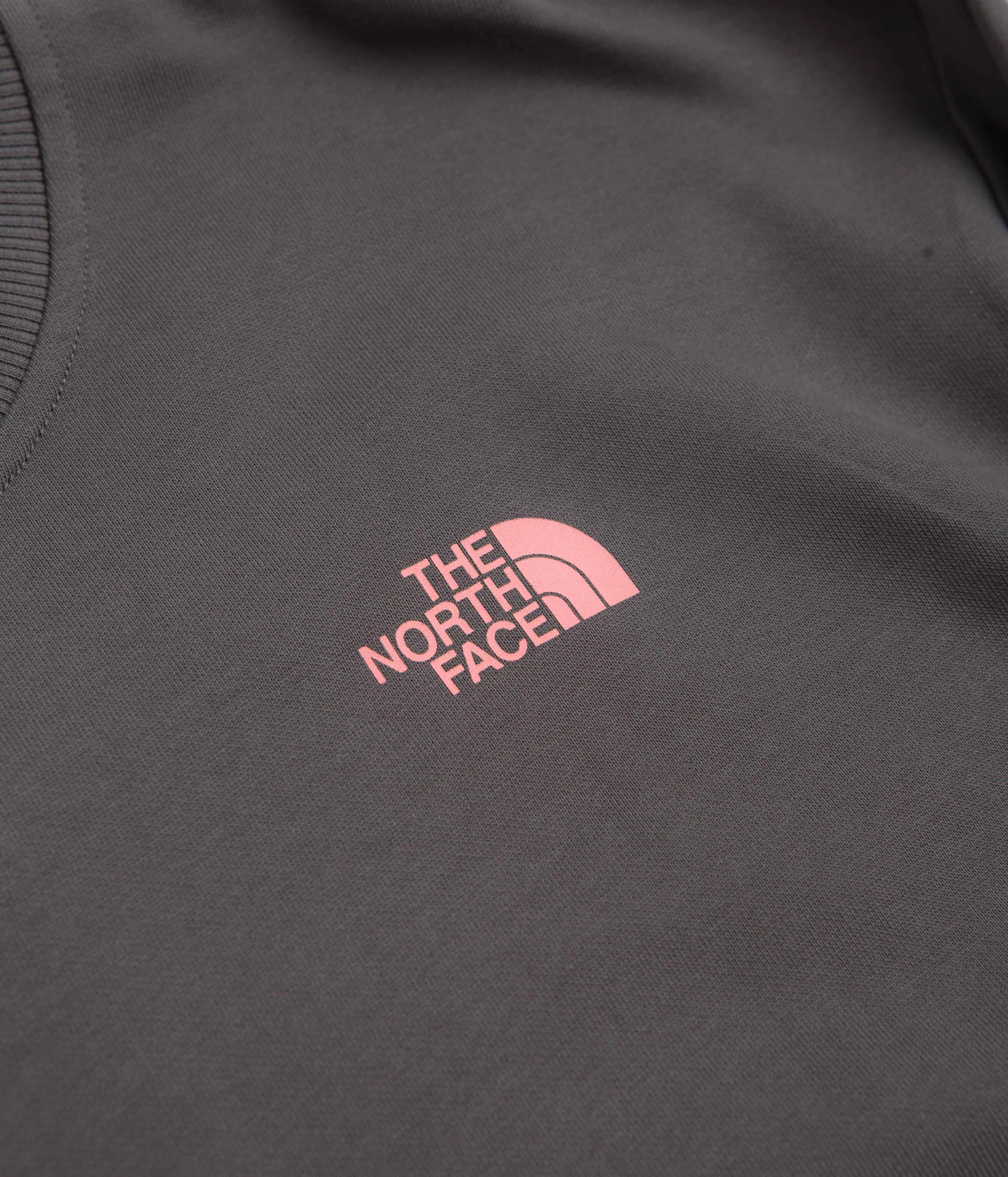 The North Face Expedition Celebration Oversized Crewneck Sweatshirt - Anthracite Grey teens' Fresh Fit