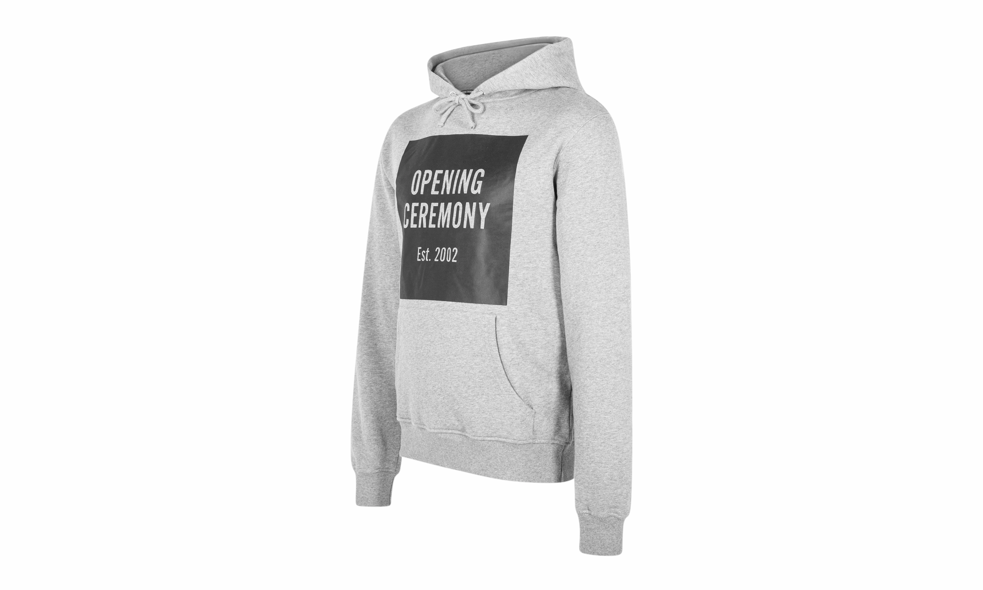 TORCH UNISEX BOX LOGO HOODIE "Grey"
