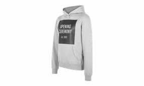 TORCH UNISEX BOX LOGO HOODIE "Grey"