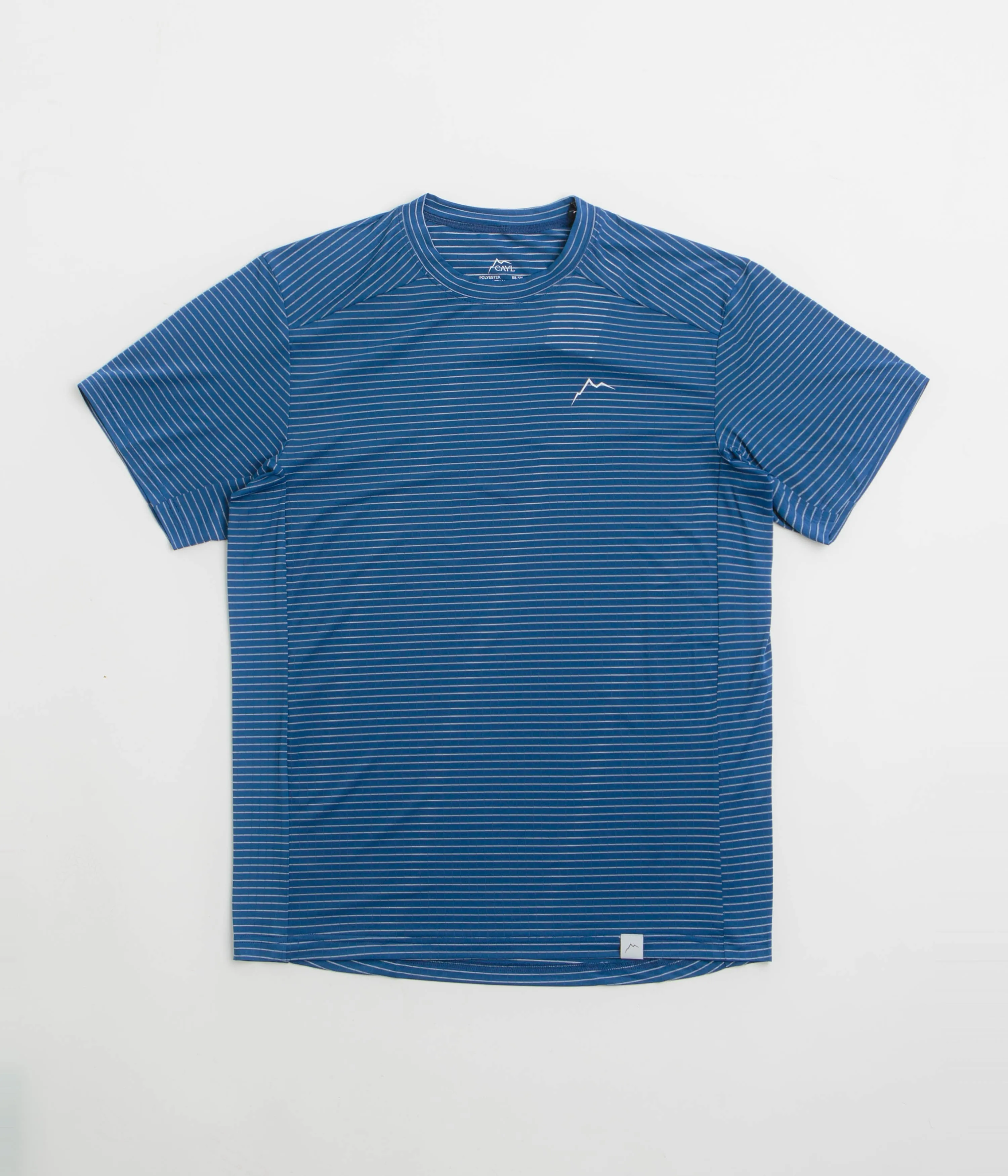 Wrinkle Resistant running venue Cayl Stripe Logo T-Shirt - Blue