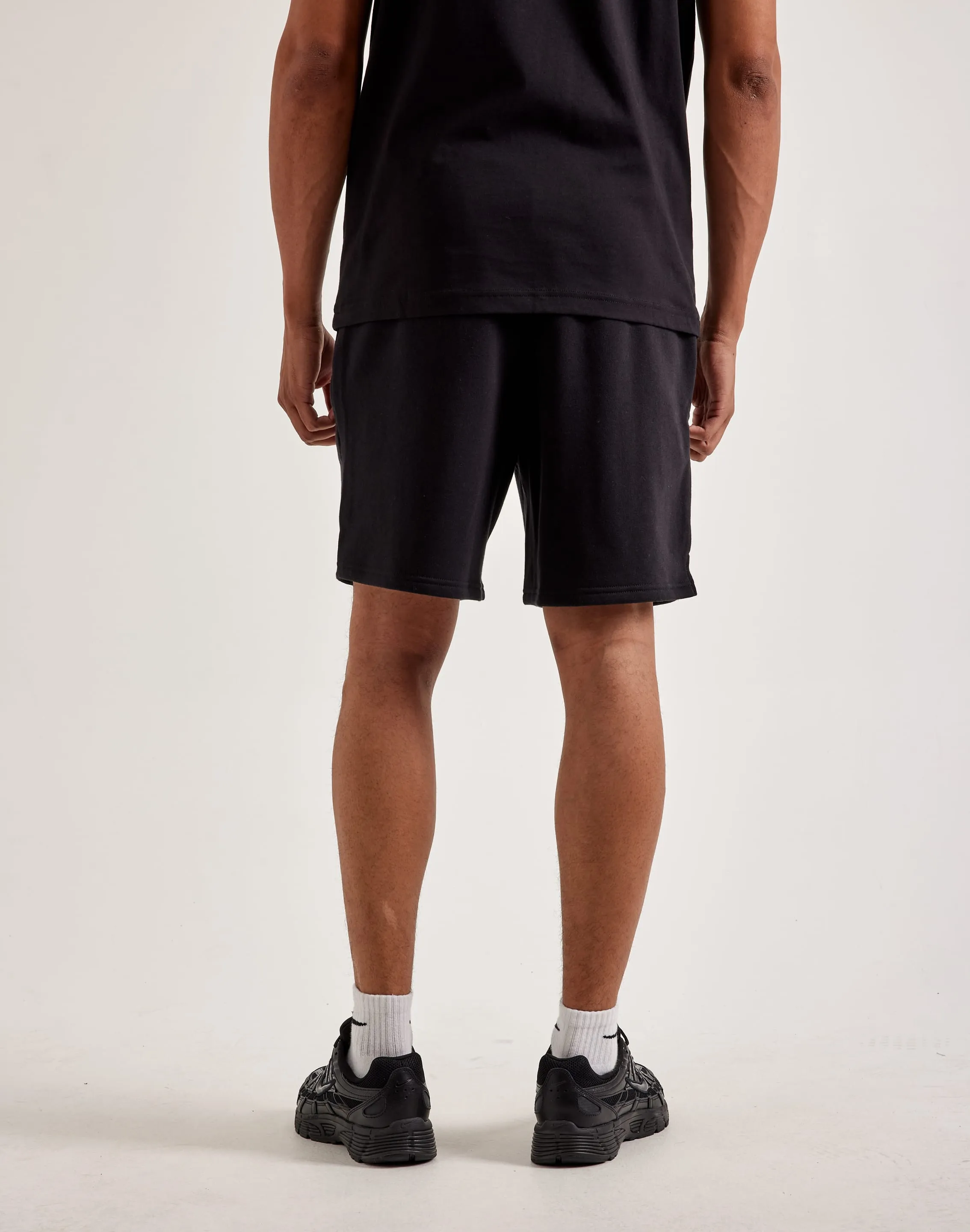 Art Core The North Face Evolution Fleece Shorts