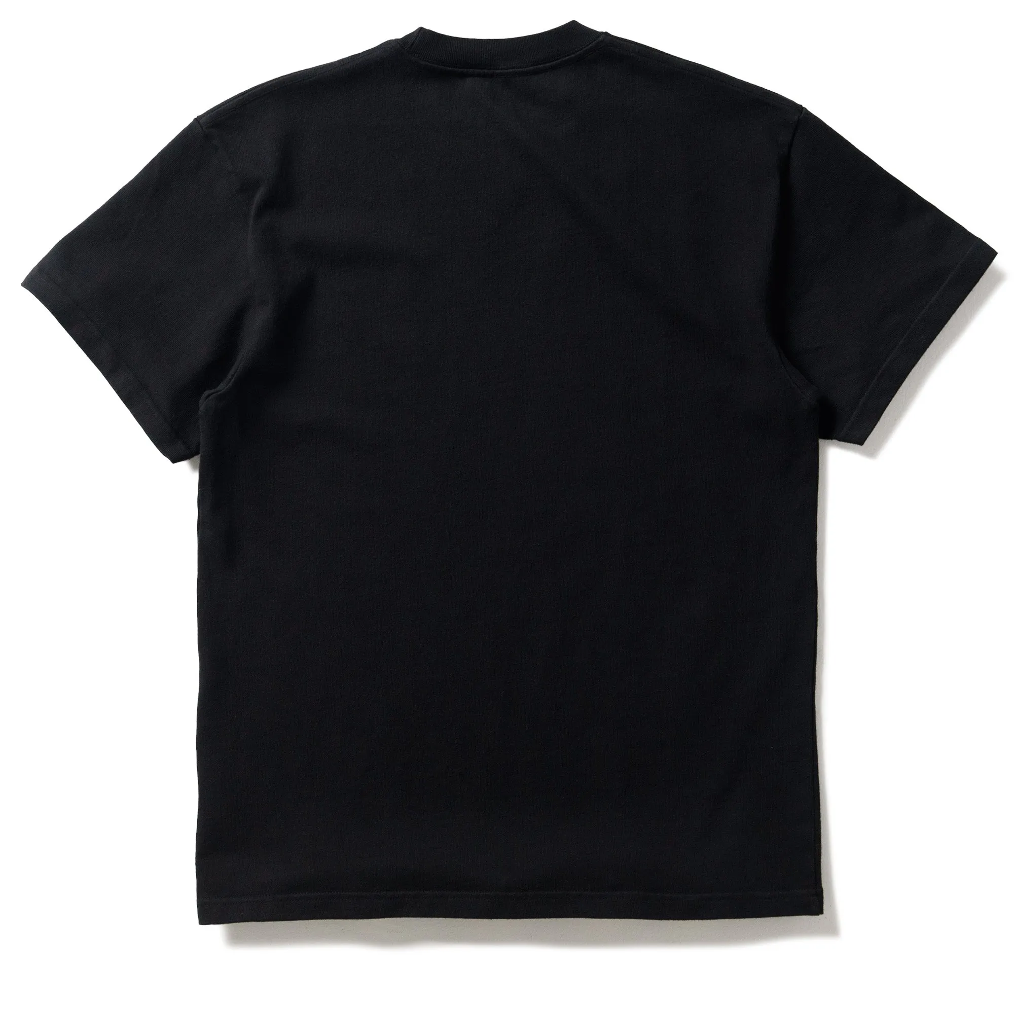 snowboarding venue Always On Tour GWSTFW Tee - Black
